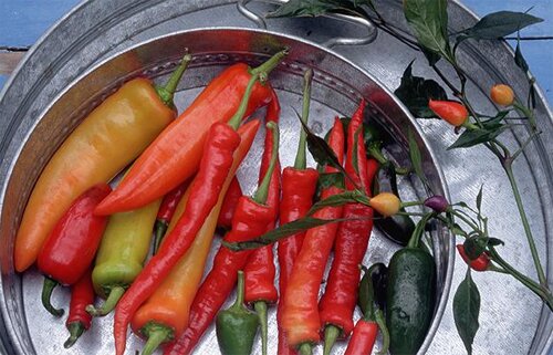 Sổ tay du lịch so tay du lich Sotaydulich Sotay Dulich Khampha Kham Pha Bui 10 món ăn đặc biệt nhất thế giới