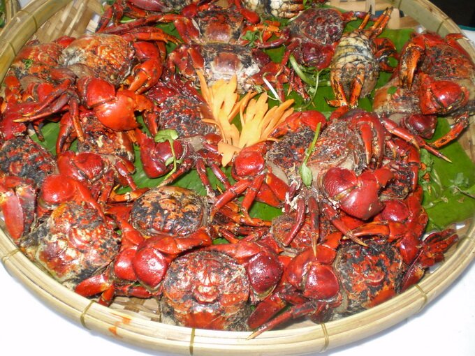Sổ tay du lịch so tay du lich Sotaydulich Sotay Dulich Khampha Kham Pha Bui Chù ụ - đặc sản vùng duyên hải