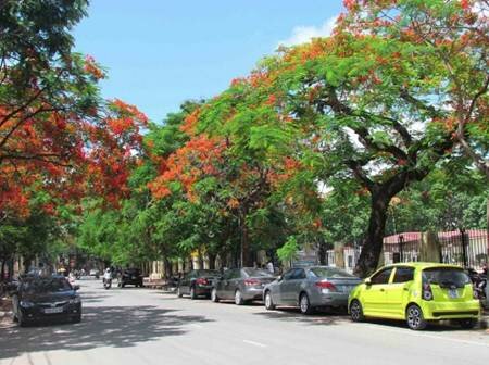 Sổ tay du lịch so tay du lich Sotaydulich Sotay Dulich Khampha Kham Pha Bui Hải Phòng được bình chọn là chốn du lịch solo hấp dẫn 