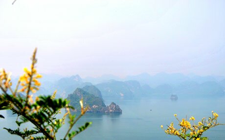 Sổ tay du lịch so tay du lich Sotaydulich Sotay Dulich Khampha Kham Pha Bui Soi Sim Điểm du lịch hè hấp dẫn