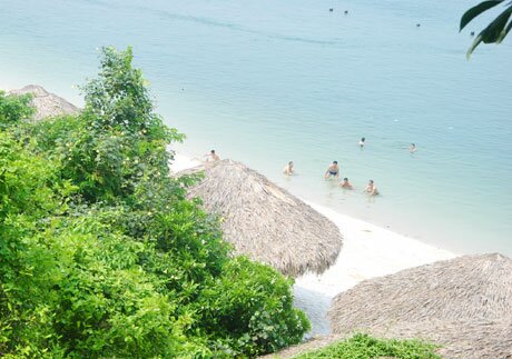 Sổ tay du lịch so tay du lich Sotaydulich Sotay Dulich Khampha Kham Pha Bui Soi Sim Điểm du lịch hè hấp dẫn