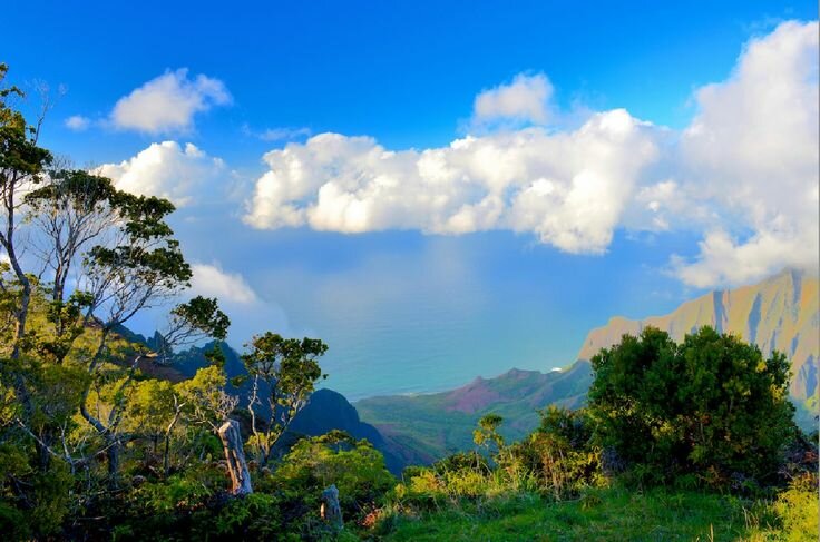 Sổ tay du lịch so tay du lich Sotaydulich Sotay Dulich Khampha Kham Pha Bui Vách đá Kalalau Vách ngăn vườn địa đàng