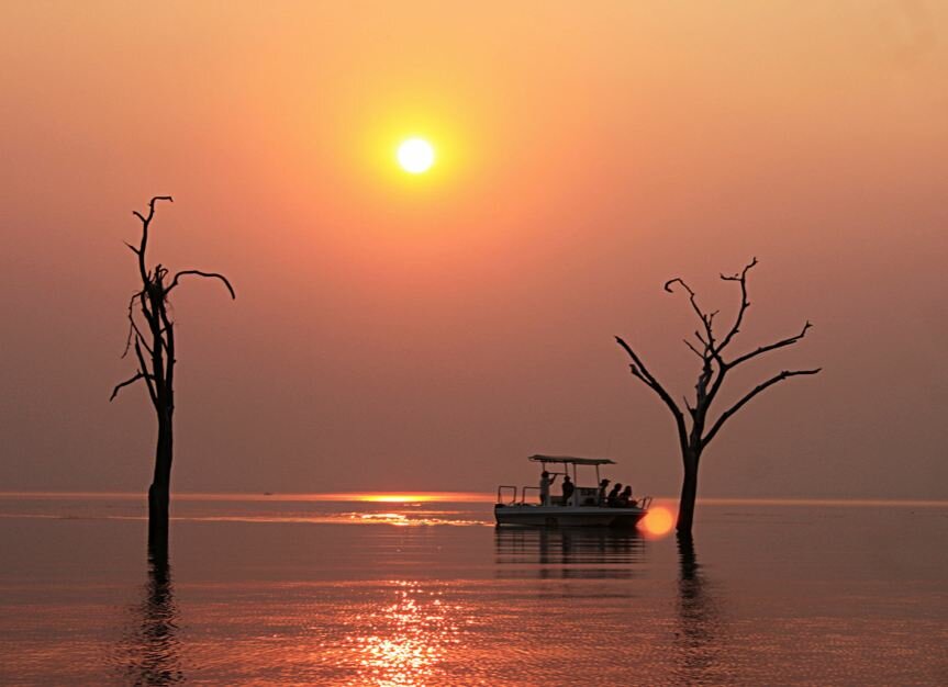 Sổ tay du lịch so tay du lich Sotaydulich Sotay Dulich Khampha Kham Pha Bui Kariba đoá hoa hiện ra giữa hoang mạc