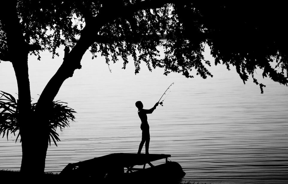 Sổ tay du lịch so tay du lich Sotaydulich Sotay Dulich Khampha Kham Pha Bui Kariba đoá hoa hiện ra giữa hoang mạc
