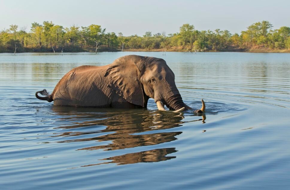 Sổ tay du lịch so tay du lich Sotaydulich Sotay Dulich Khampha Kham Pha Bui Kariba đoá hoa hiện ra giữa hoang mạc