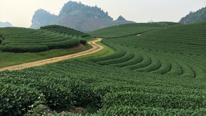 Sổ tay du lịch so tay du lich Sotaydulich Sotay Dulich Khampha Kham Pha Bui Mộc Châu mùa không hoa