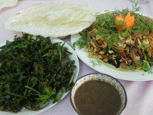 Sổ tay du lịch so tay du lich Sotaydulich Sotay Dulich Khampha Kham Pha Bui Đặc sản rau rừng An Lão