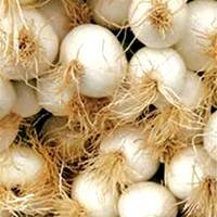 Sổ tay du lịch so tay du lich Sotaydulich Sotay Dulich Khampha Kham Pha Bui Gần gũi Lý Sơn