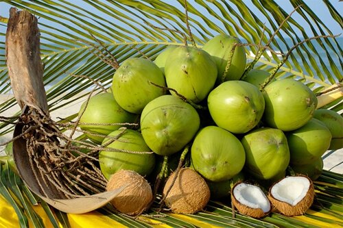 Sổ tay du lịch so tay du lich Sotaydulich Sotay Dulich Khampha Kham Pha Bui Món ngon từ dừa trong ẩm thực Bến Tre