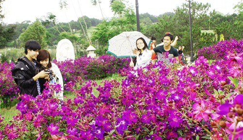 Sổ tay du lịch so tay du lich Sotaydulich Sotay Dulich Khampha Kham Pha Bui Ngất ngây cùng sắc tím hoa mua ở Đà Lạt