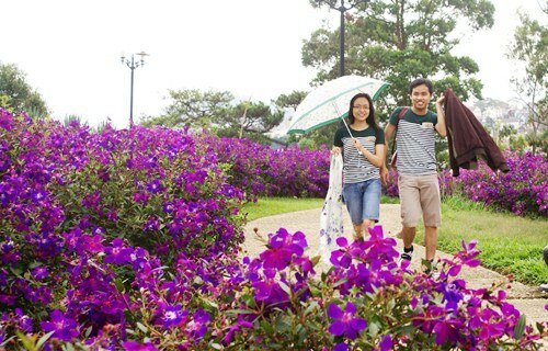 Sổ tay du lịch so tay du lich Sotaydulich Sotay Dulich Khampha Kham Pha Bui Ngất ngây cùng sắc tím hoa mua ở Đà Lạt