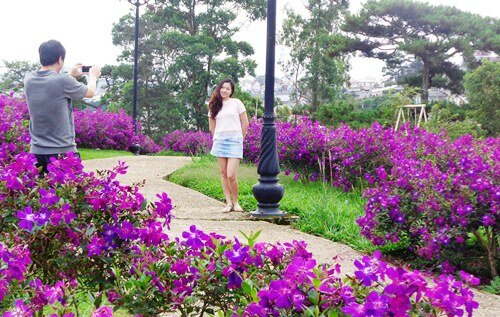 Sổ tay du lịch so tay du lich Sotaydulich Sotay Dulich Khampha Kham Pha Bui Ngất ngây cùng sắc tím hoa mua ở Đà Lạt