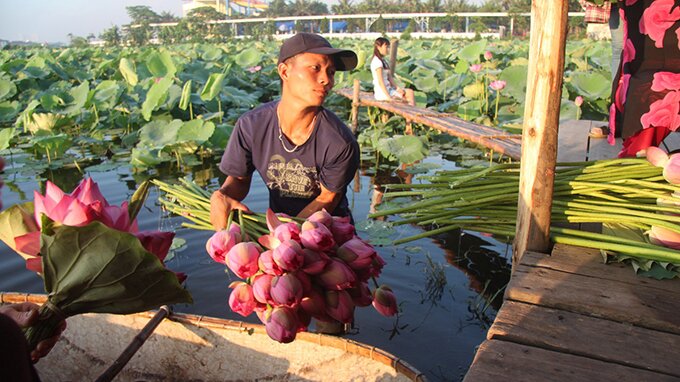 Sổ tay du lịch so tay du lich Sotaydulich Sotay Dulich Khampha Kham Pha Bui Sen vào hạ