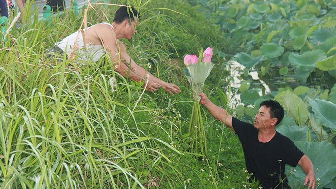 Sổ tay du lịch so tay du lich Sotaydulich Sotay Dulich Khampha Kham Pha Bui Sen vào hạ