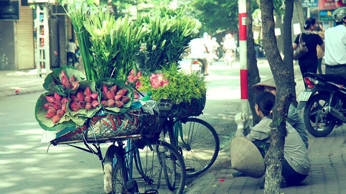 Sổ tay du lịch so tay du lich Sotaydulich Sotay Dulich Khampha Kham Pha Bui Sen vào hạ