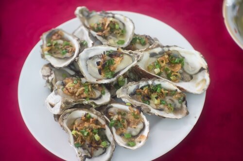 Sổ tay du lịch so tay du lich Sotaydulich Sotay Dulich Khampha Kham Pha Bui Kinh nghiệm cho chuyến du lịch Cát Bà