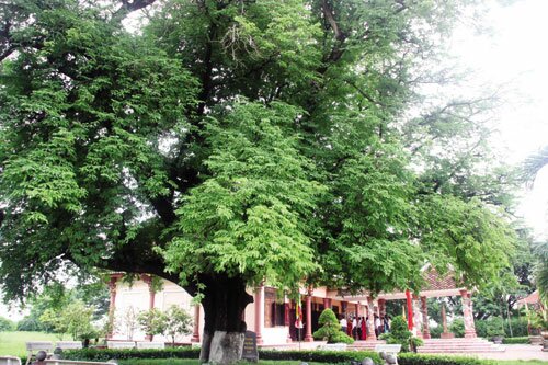 Sổ tay du lịch so tay du lich Sotaydulich Sotay Dulich Khampha Kham Pha Bui Thăm Bảo tàng Quang Trung