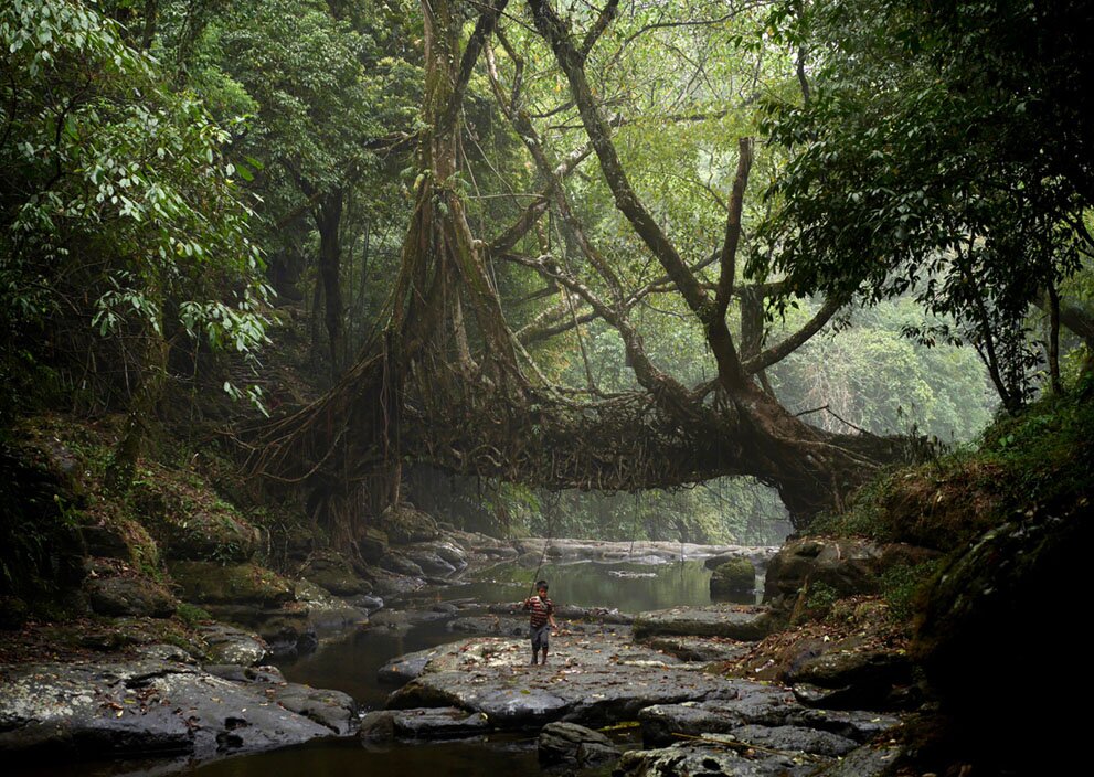 Sổ tay du lịch so tay du lich Sotaydulich Sotay Dulich Khampha Kham Pha Bui Meghalaya - Những ngôi làng ẩm ướt nhất thế giới