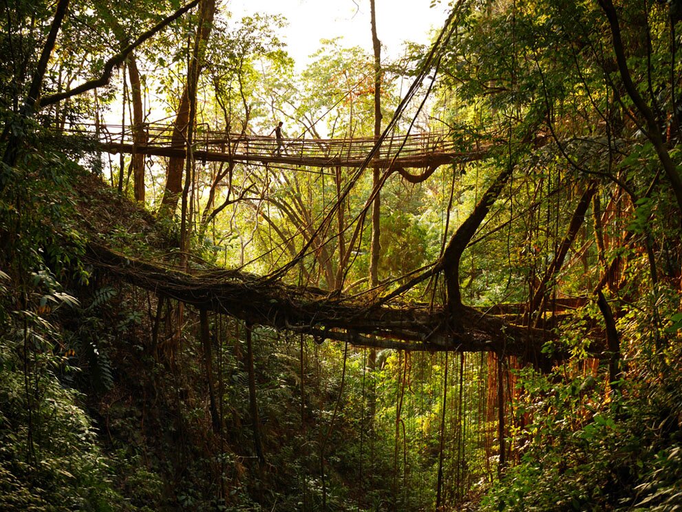 Sổ tay du lịch so tay du lich Sotaydulich Sotay Dulich Khampha Kham Pha Bui Meghalaya - Những ngôi làng ẩm ướt nhất thế giới