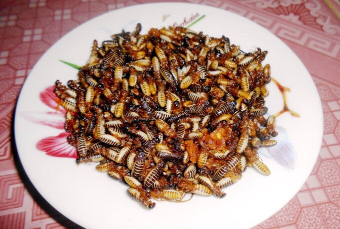 Sổ tay du lịch so tay du lich Sotaydulich Sotay Dulich Khampha Kham Pha Bui Mối đất - Hương vị đại ngàn xứ Quảng