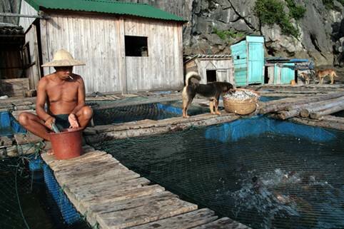 Sổ tay du lịch so tay du lich Sotaydulich Sotay Dulich Khampha Kham Pha Bui Hai điểm đến thú vị ở Hạ Long ít người biết