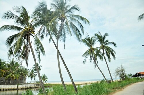 Sổ tay du lịch so tay du lich Sotaydulich Sotay Dulich Khampha Kham Pha Bui Những bãi biển đẹp ở Phú Yên