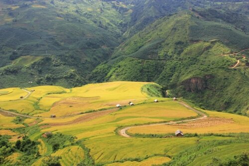 Sổ tay du lịch so tay du lich Sotaydulich Sotay Dulich Khampha Kham Pha Bui Mùa vàng Bát Xát trong mây