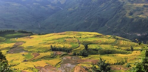 Sổ tay du lịch so tay du lich Sotaydulich Sotay Dulich Khampha Kham Pha Bui Mùa vàng Bát Xát trong mây