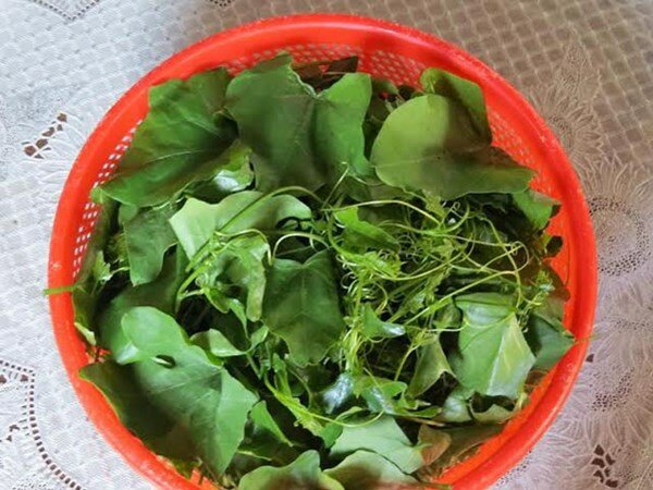 Sổ tay du lịch so tay du lich Sotaydulich Sotay Dulich Khampha Kham Pha Bui Hột vịt lộn nấu canh bình bát