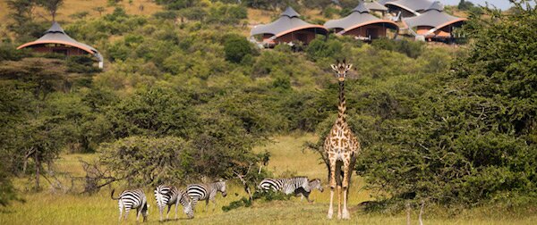 Sổ tay du lịch so tay du lich Sotaydulich Sotay Dulich Khampha Kham Pha Bui Mahali Mzuri khu nghỉ dưỡng độc đáo ở Kenya