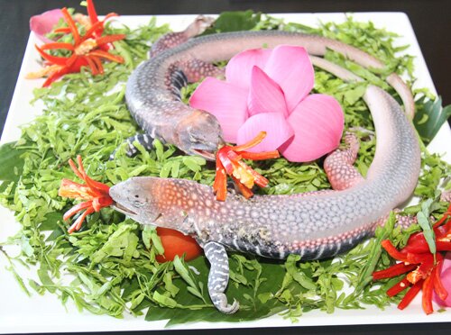 Sổ tay du lịch so tay du lich Sotaydulich Sotay Dulich Khampha Kham Pha Bui Món ngon từ dông cát Phan Thiết