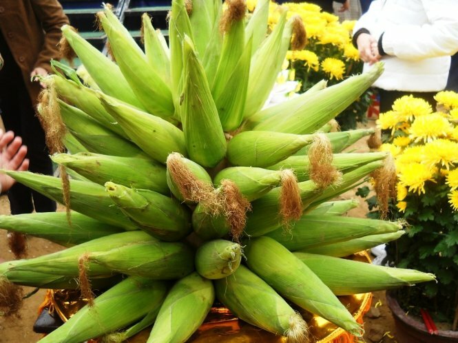 Sổ tay du lịch so tay du lich Sotaydulich Sotay Dulich Khampha Kham Pha Bui Chả bắp thơm chiều thu phố Hội
