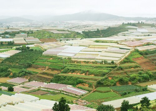 Sổ tay du lịch so tay du lich Sotaydulich Sotay Dulich Khampha Kham Pha Bui Khám phá nhà vườn Đà Lạt
