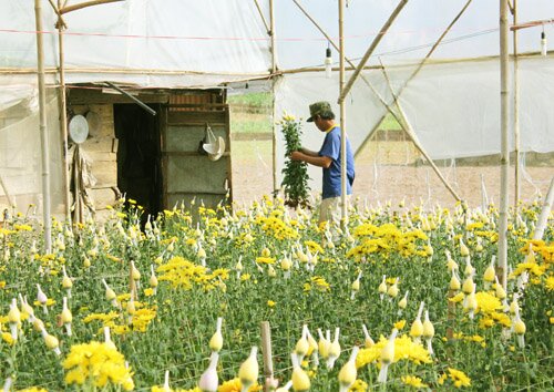 Sổ tay du lịch so tay du lich Sotaydulich Sotay Dulich Khampha Kham Pha Bui Khám phá nhà vườn Đà Lạt