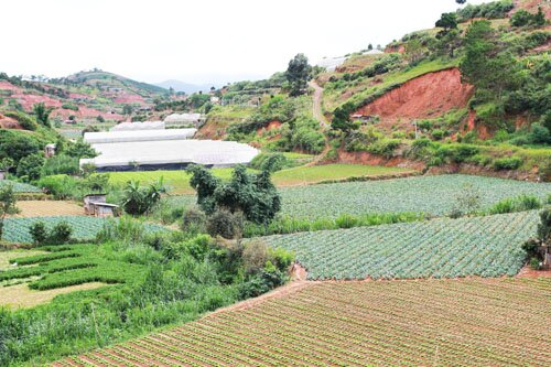 Sổ tay du lịch so tay du lich Sotaydulich Sotay Dulich Khampha Kham Pha Bui Khám phá nhà vườn Đà Lạt