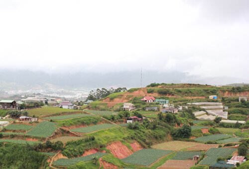 Sổ tay du lịch so tay du lich Sotaydulich Sotay Dulich Khampha Kham Pha Bui Khám phá nhà vườn Đà Lạt