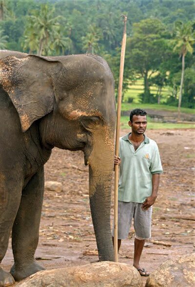 Sổ tay du lịch so tay du lich Sotaydulich Sotay Dulich Khampha Kham Pha Bui Sri Lanka - Thanh bình nơi đất Phật