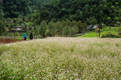 Sổ tay du lịch so tay du lich Sotaydulich Sotay Dulich Khampha Kham Pha Bui 9 trải nghiệm nên thử ở Hà Giang