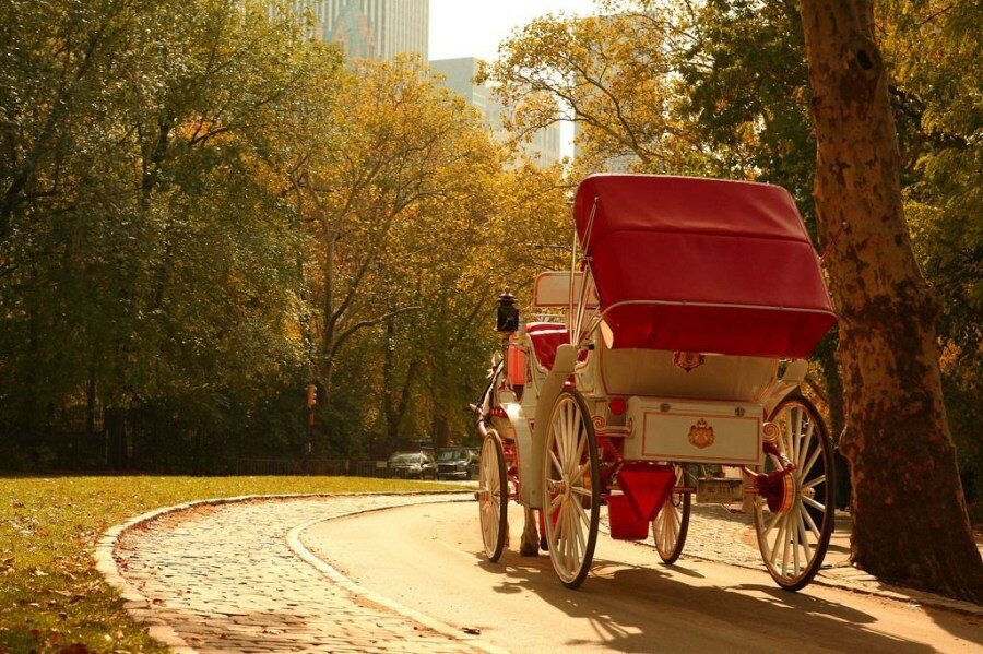 Sổ tay du lịch so tay du lich Sotaydulich Sotay Dulich Khampha Kham Pha Bui Đi dạo Central Park ở New York trên xe ngựa