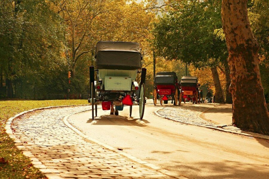 Sổ tay du lịch so tay du lich Sotaydulich Sotay Dulich Khampha Kham Pha Bui Đi dạo Central Park ở New York trên xe ngựa