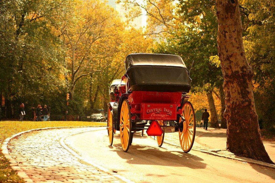 Sổ tay du lịch so tay du lich Sotaydulich Sotay Dulich Khampha Kham Pha Bui Đi dạo Central Park ở New York trên xe ngựa