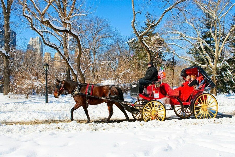 Sổ tay du lịch so tay du lich Sotaydulich Sotay Dulich Khampha Kham Pha Bui Đi dạo Central Park ở New York trên xe ngựa