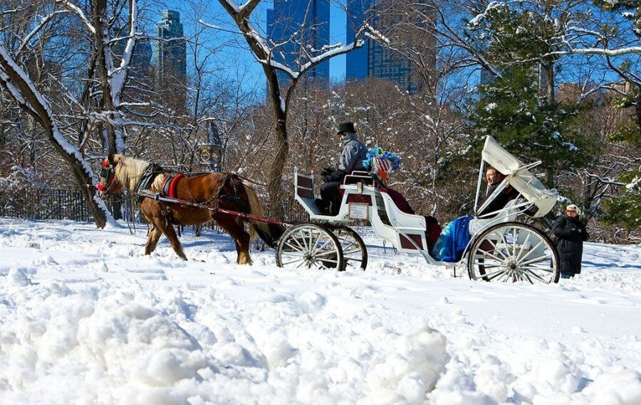 Sổ tay du lịch so tay du lich Sotaydulich Sotay Dulich Khampha Kham Pha Bui Đi dạo Central Park ở New York trên xe ngựa