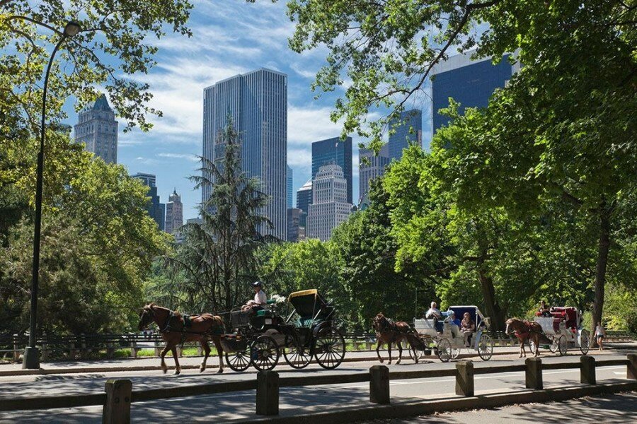 Sổ tay du lịch so tay du lich Sotaydulich Sotay Dulich Khampha Kham Pha Bui Đi dạo Central Park ở New York trên xe ngựa