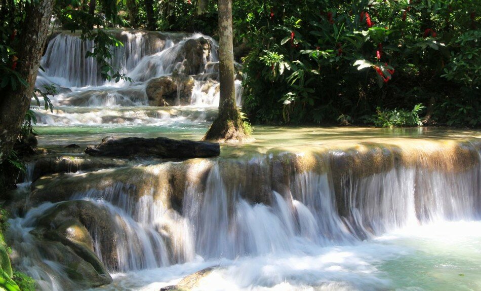 Sổ tay du lịch so tay du lich Sotaydulich Sotay Dulich Khampha Kham Pha Bui Dunn’s River Falls - Ngọn thác kỳ ảo ở Jamaica