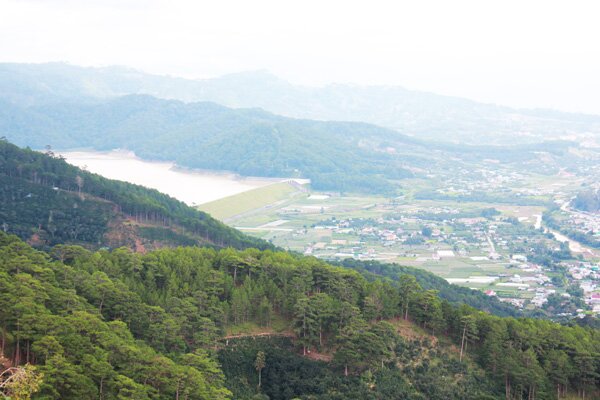 Sổ tay du lịch so tay du lich Sotaydulich Sotay Dulich Khampha Kham Pha Bui Đón đông lạnh giữa màn sương mờ ảo Đà Lạt