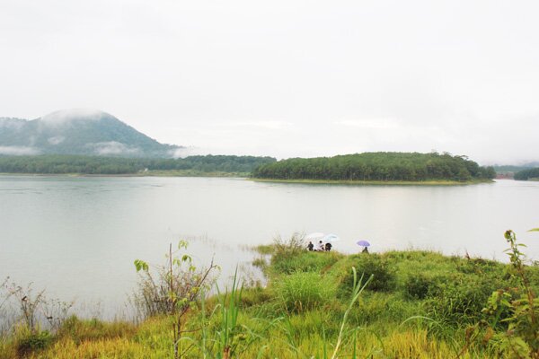 Sổ tay du lịch so tay du lich Sotaydulich Sotay Dulich Khampha Kham Pha Bui Đón đông lạnh giữa màn sương mờ ảo Đà Lạt
