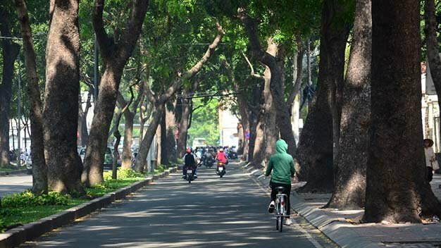 Sổ tay du lịch so tay du lich Sotaydulich Sotay Dulich Khampha Kham Pha Bui Xanh ngát hàng cây trăm tuổi Sài Gòn