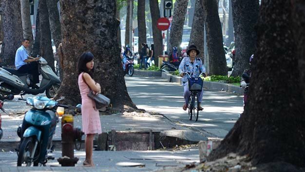 Sổ tay du lịch so tay du lich Sotaydulich Sotay Dulich Khampha Kham Pha Bui Xanh ngát hàng cây trăm tuổi Sài Gòn