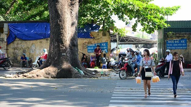 Sổ tay du lịch so tay du lich Sotaydulich Sotay Dulich Khampha Kham Pha Bui Xanh ngát hàng cây trăm tuổi Sài Gòn